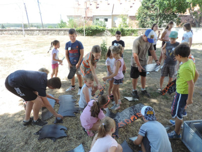                                                                                                                                 