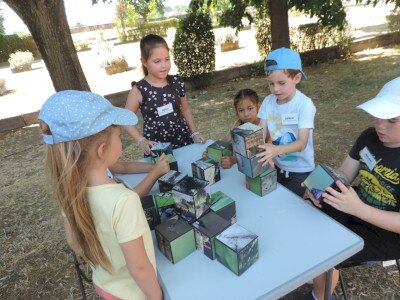                                                                                                                                 