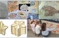 Announcement of a competition for a fossil-themed artwork within the European Geoparks Network during Geotope Days