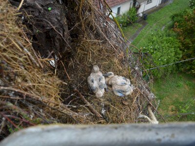 ASCII��� �����������������������������������