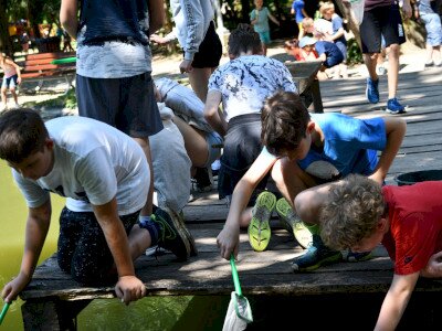 ASCII                                       