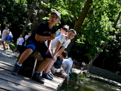 ASCII                                       