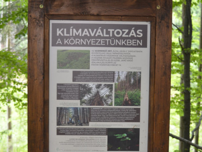 ASCII                                       