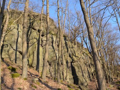 ASCII                                       