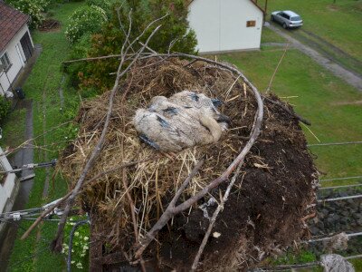 ASCII��� �����������������������������������