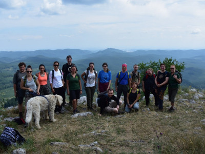 ASCII                                       