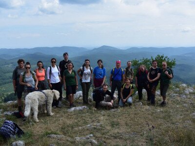 ASCII                                       