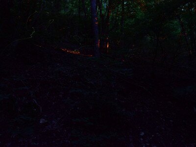 ASCII                                       