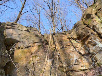 ASCII                                       