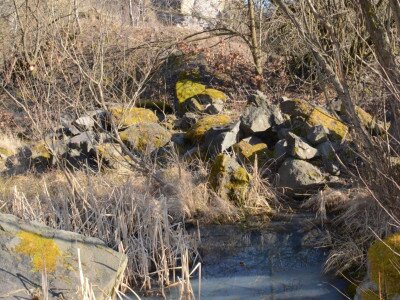 ASCII                                       