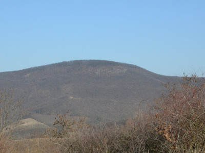 ASCII                                       