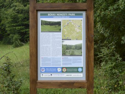 ASCII                                       