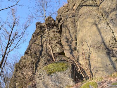 ASCII                                       