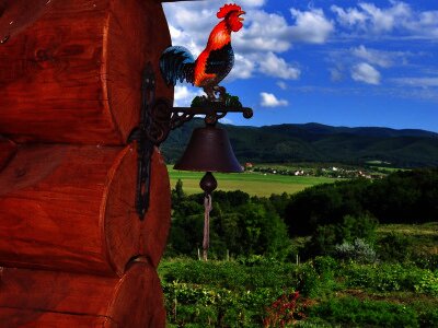 ASCII                                       