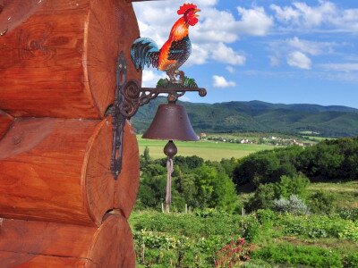 ASCII                                       