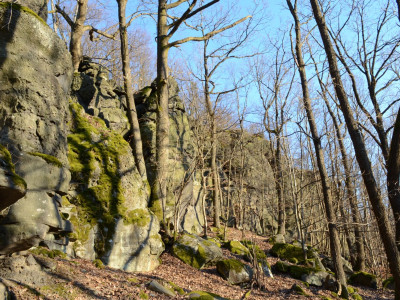 ASCII                                       