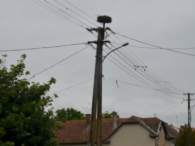 ASCII��� �����������������������������������