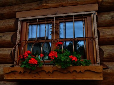 ASCII                                       