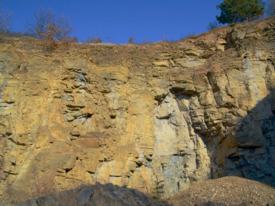 ASCII                                       