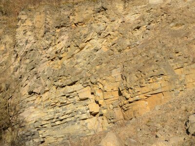 ASCII                                       