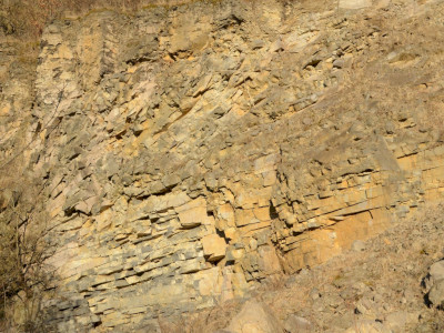 ASCII                                       