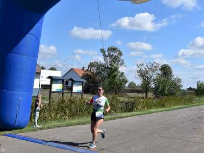 ASCII                                       