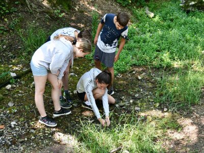 ASCII                                       