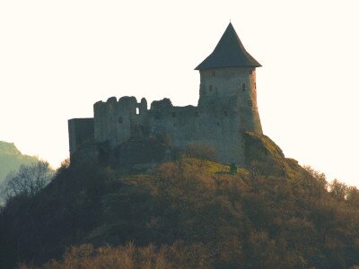 ASCII                                       