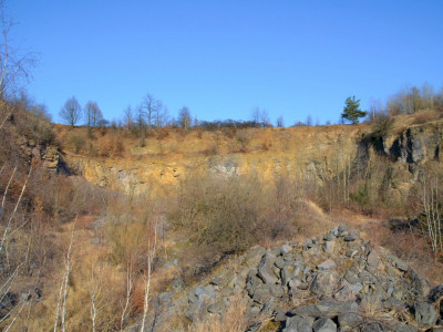 ASCII                                       