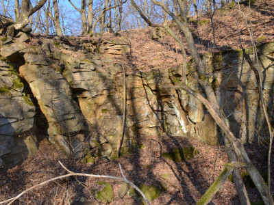 ASCII                                       