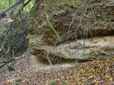 ASCII                                       