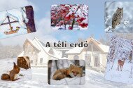 A téli erdő - természetismereti foglalkozások óvodásoknak a Harkály Házban