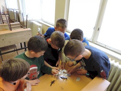                                                                                                                                 