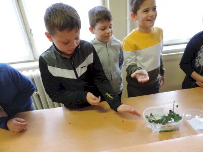                                                                                                                                 