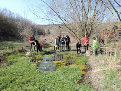                                                                                                                                 