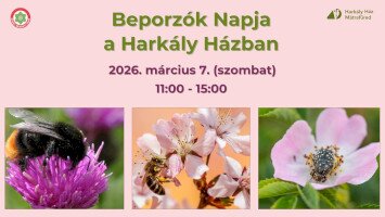 Beporzók Napja a Harkály Házban