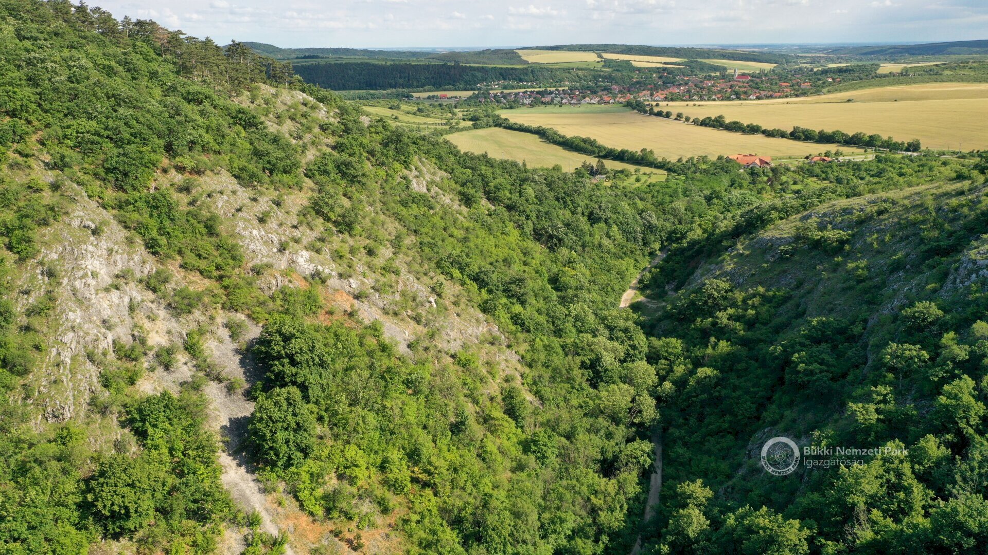 BNPD_Hor_valley