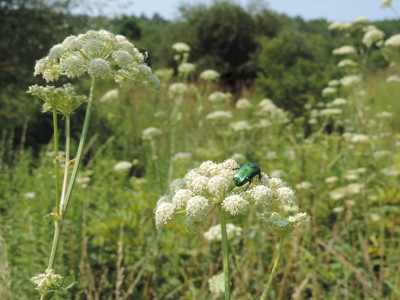                                                                                                                                 