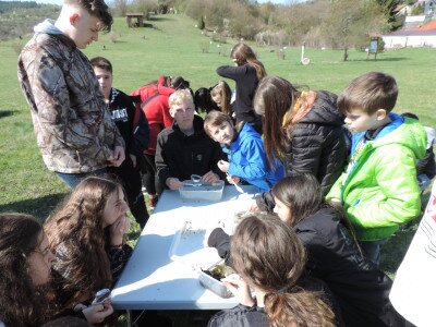                                                                                                                                 