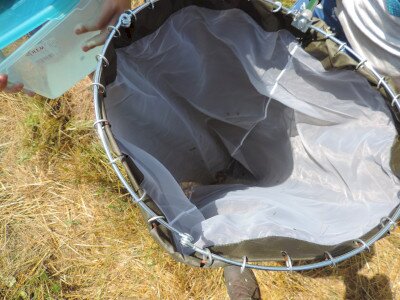                                                                                                                                 