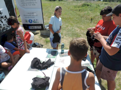                                                                                                                                 