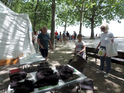                                                                                                                                 