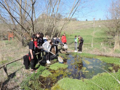                                                                                                                                 