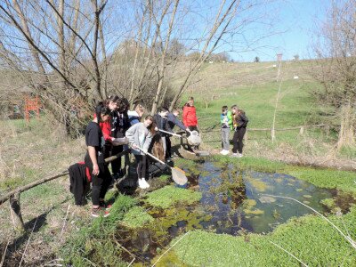                                                                                                                                 