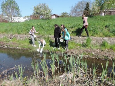                                                                                                                                 