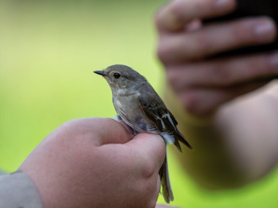 Ilku György_240520_1080_2