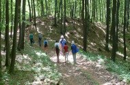 Bélapátfalva - Szilvásvárad, Kelemen széke tanösvény
