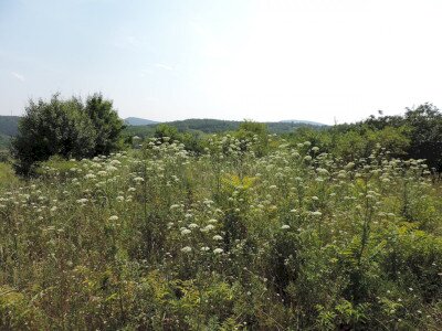                                                                                                                                 