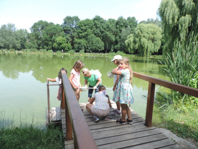                                                                                                                                 