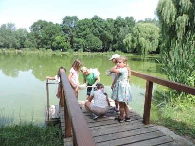                                                                                                                                 